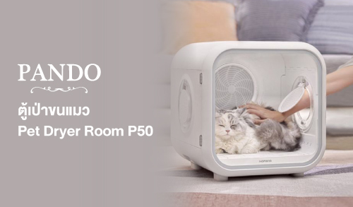 Dotlife : PANDO Pet Dryer Room P50